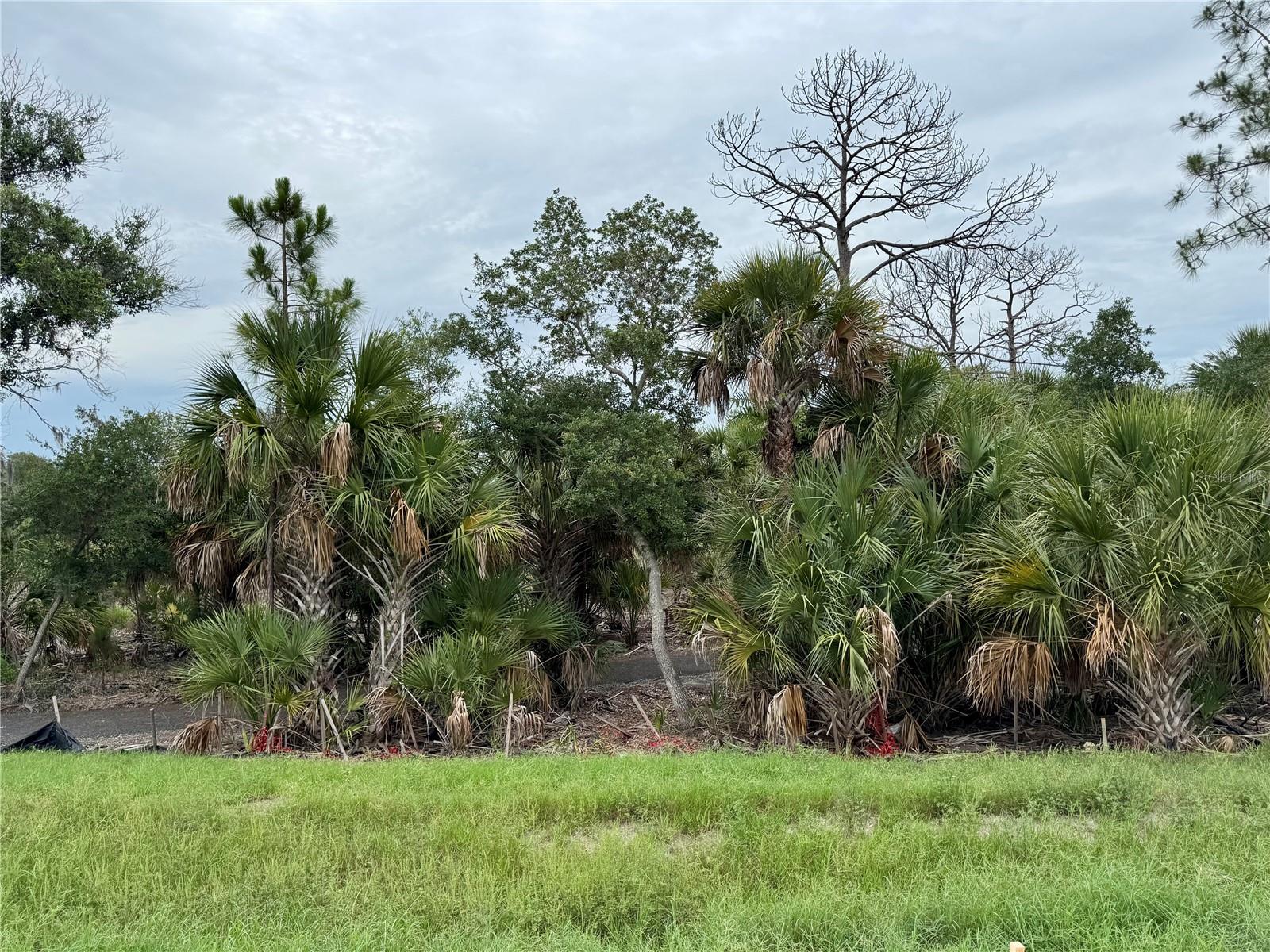GRAND PARK - Residential