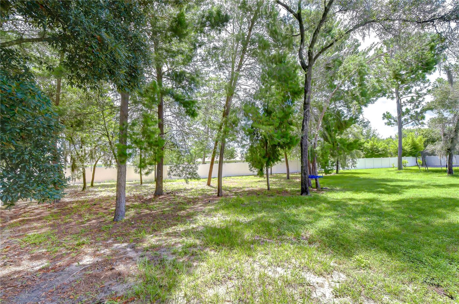 PLANTATION PALMS - Residential