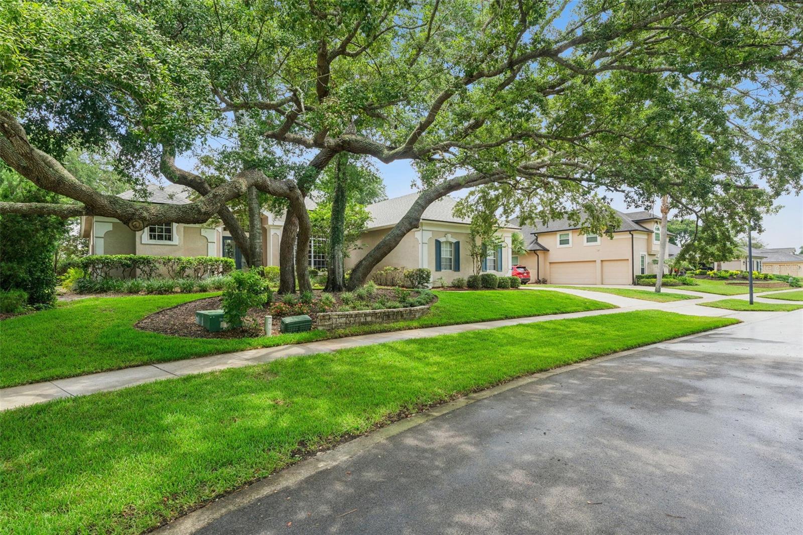 WOLDUNN REP - Residential