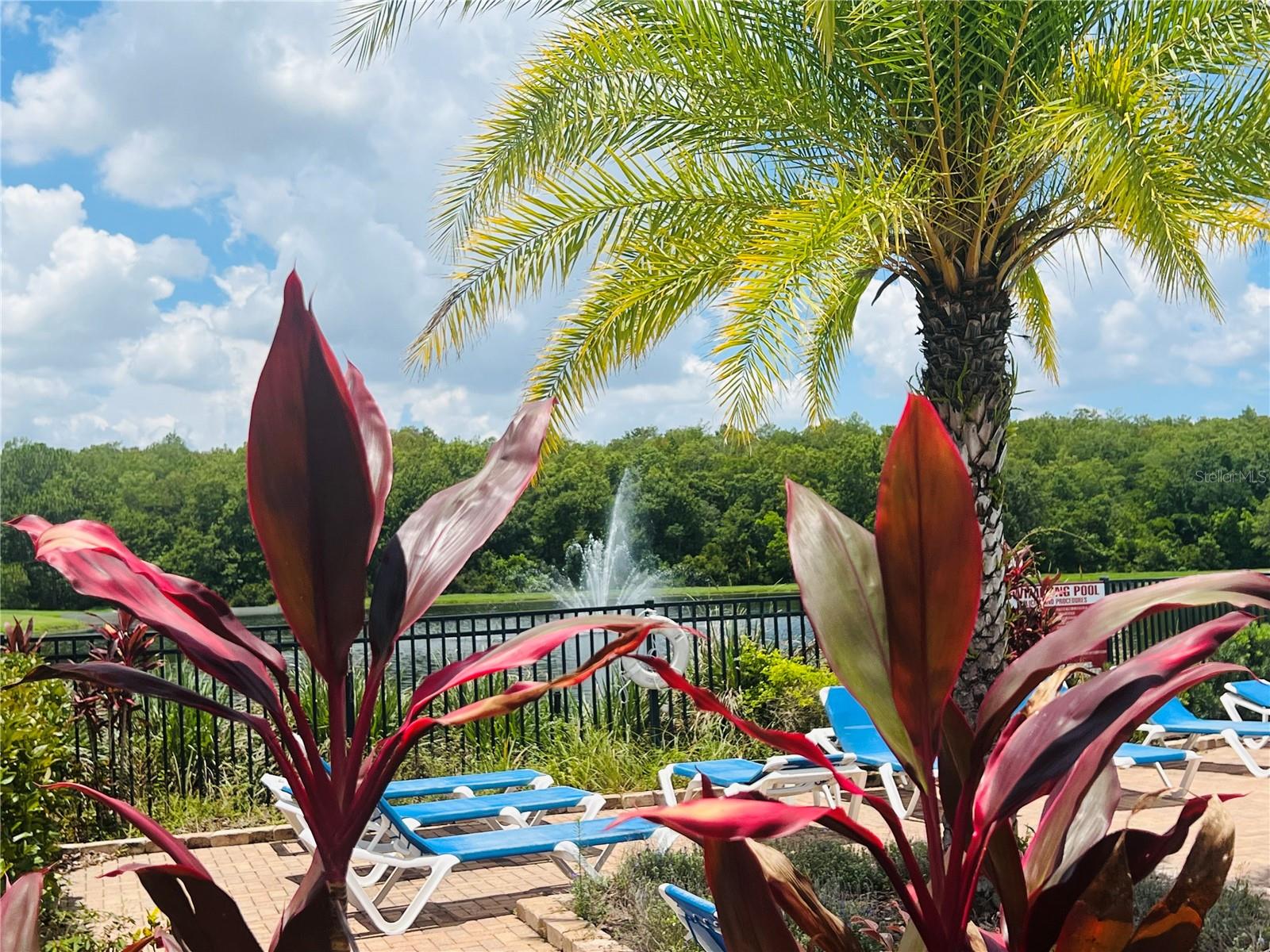 CARTER GLEN - Residential Lease