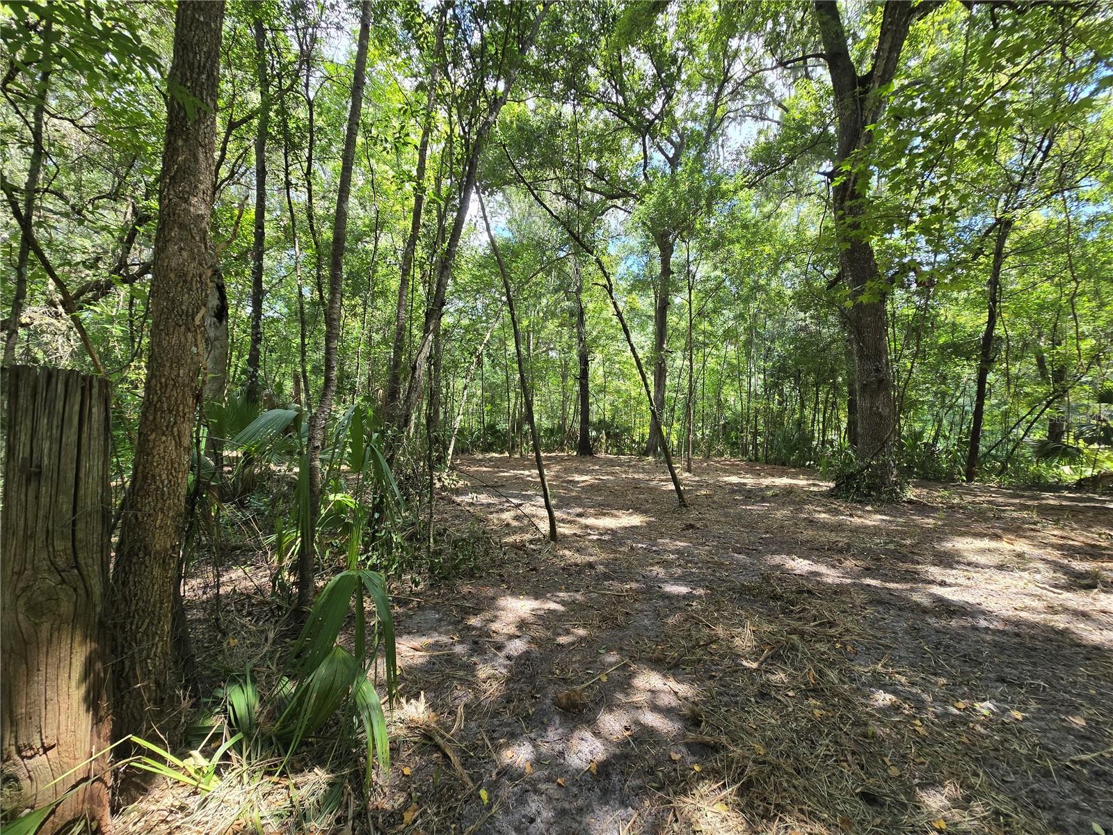 NEWMAN HTS UN #1 - Land