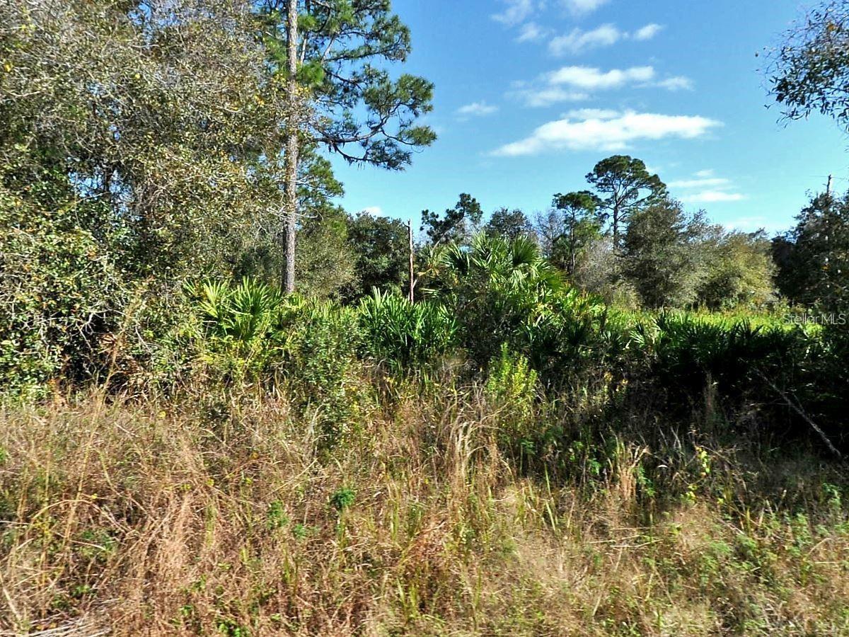 AAA location on the border of North Port and Port Charlotte right off of veterans Boulevard . Property in X zone no flood insurance require required. Magnificent opportunity on this double lot approximately half acre or build two homes on the properties .Close proximity to I 75 and located within 30/35 minutes to Fort Myers and Sarasota. minutes to all shopping, dining ,multiple golf courses and historic beautiful downtown Punta Gorda . Attention buyer that is seeking a double lot  .Buy both to create an oversized double lot for your compound or dream home . For 24900.Have preferred builder to build your dream home starting at 299900. . Have preferred lender for lot loans and also fantastic programs for construction/perm loans if needed. Call for details. Fantastic opportunity and best price to buy a double lot .