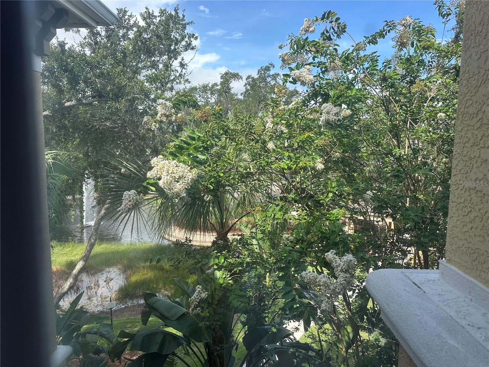 COURTNEY PALMS CONDO - Residential Lease