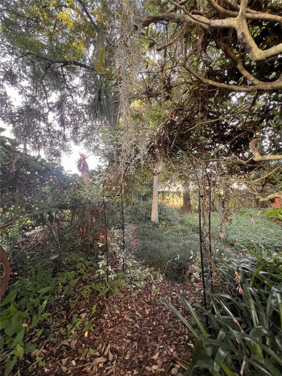 COUNTRY CREEK FOREST EDGE UNIT 1 - Residential