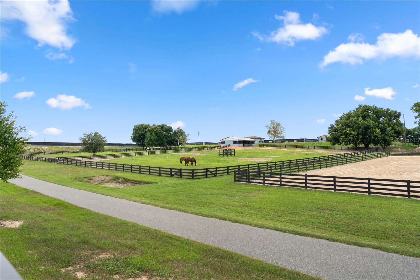GOLDEN ORCHARD - Residential