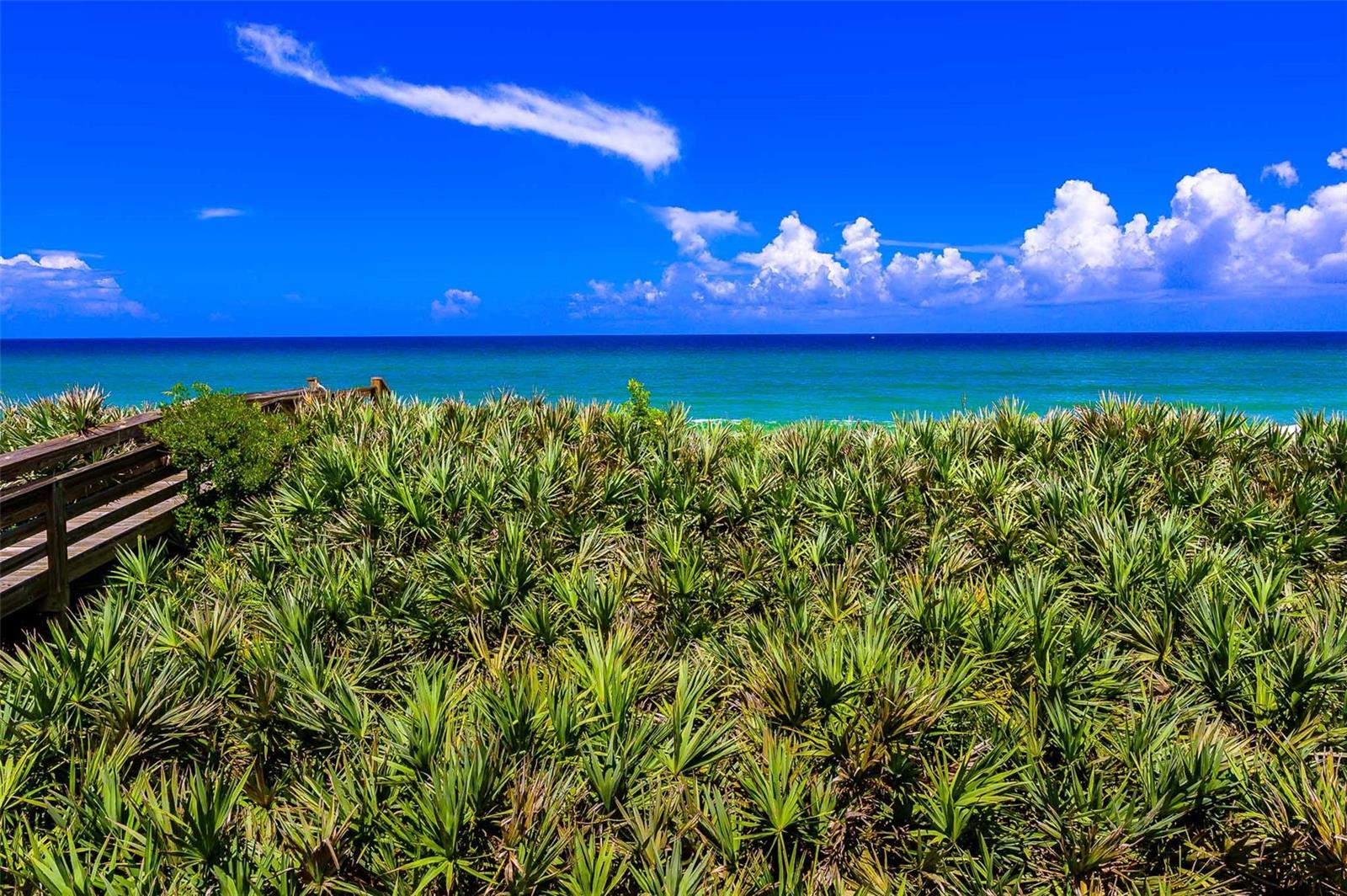 HAMMOCK DUNES CLUSTERS - Land