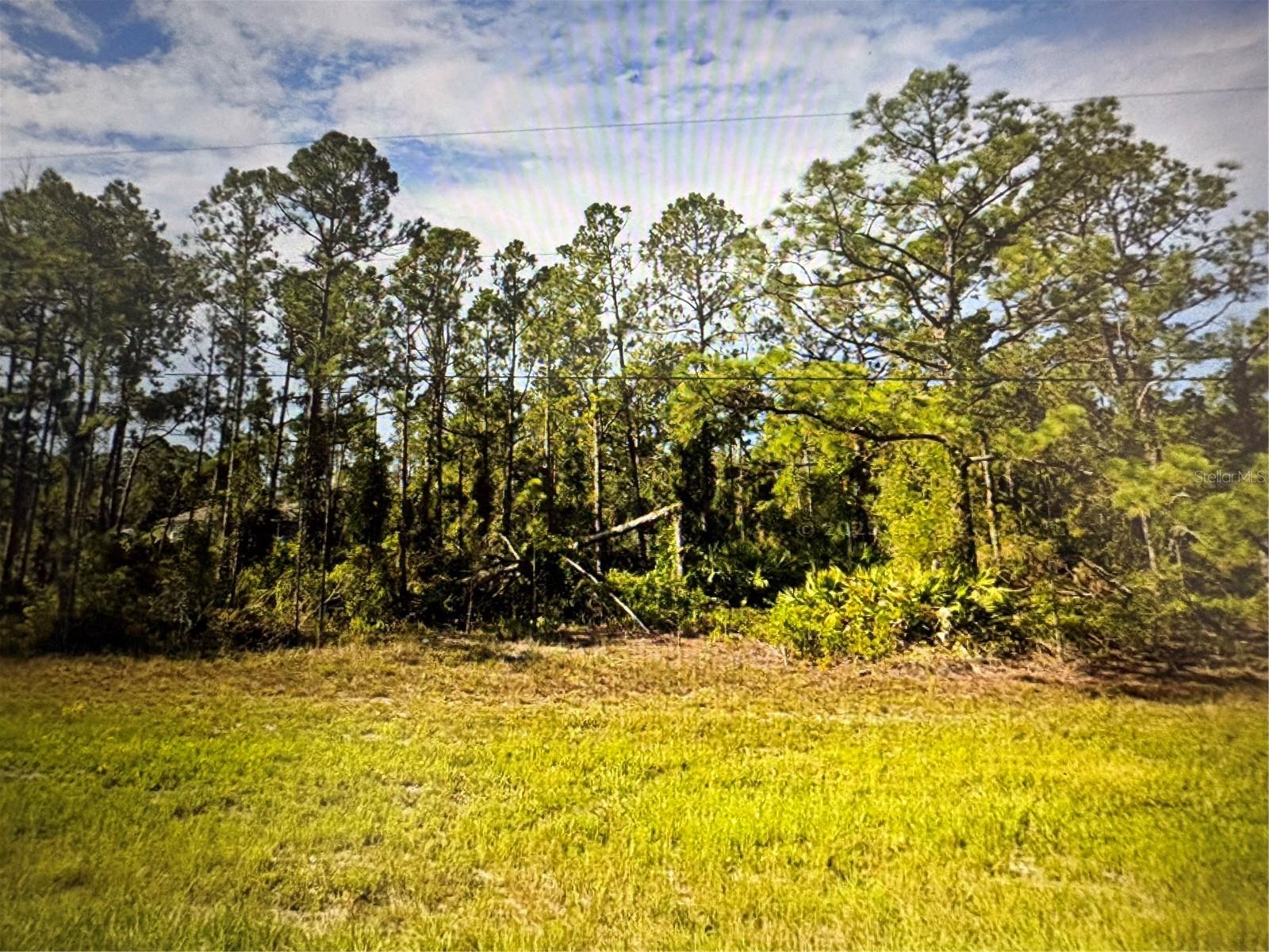 Prime Residential Lot (5) in North Port, FL – Build Your Dream Home (If you are looking for a double lot!!!!!!seller has another lot listed for sale right next door!!!!!!!)  Seize this incredible opportunity to own a vacant residential lot in the rapidly growing city of North Port, Florida! Nestled in a quiet, neighborhood, this oversized lot offers the perfect setting for your dream home. Key Features: Spacious Lot.   No HOA or CDD Fees – Enjoy the freedom to design without restrictions, Ideal Location – Close to top-rated schools, parks, and nature preserve. Convenient Access – Minutes from I-75, shopping, and dining, Growing Area – North Port is one of Florida’s fastest-growing cities, making this a fantastic investment opportunity.   Near The Atlanta Braves Spring Training Stadium (CoolToday Park), Warm Mineral Springs, Myakka River, and Gulf beaches. Whether you're looking to build your forever home or invest in Florida’s booming real estate market, this prime North Port lot is a must-see! Don’t miss out—secure your piece of paradise today!
