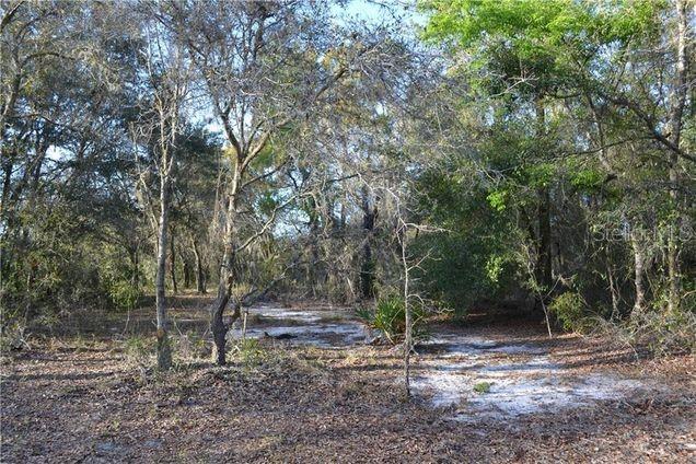 FLORIDA NATURIST PARK - Land