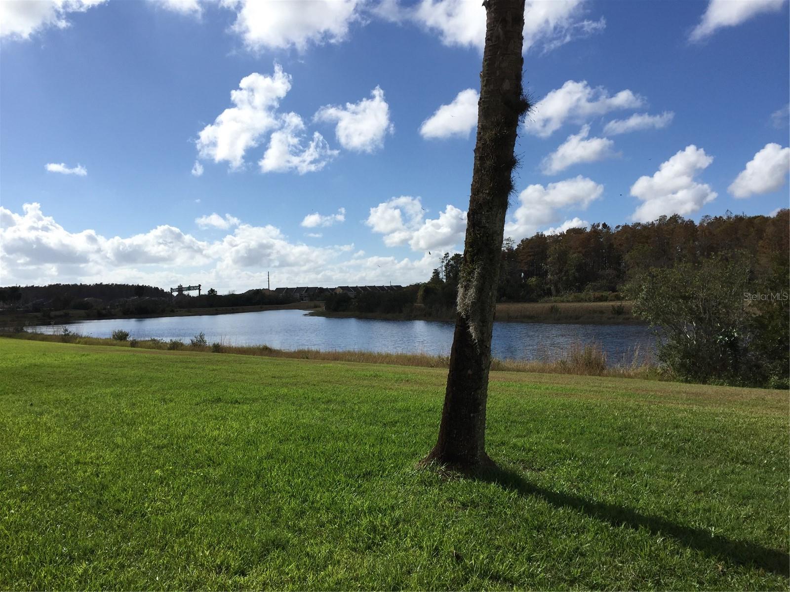 FAIRWAY GLEN AT MEADOW WOODS CONDO - Residential Lease