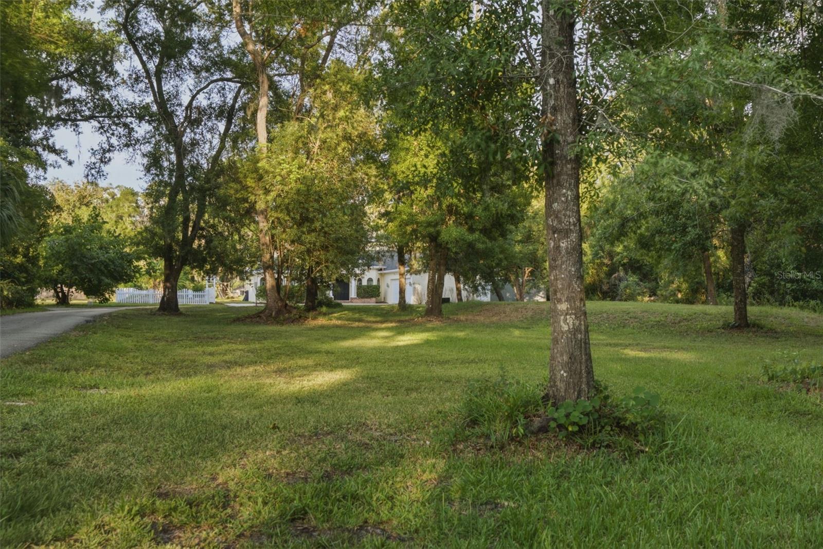 NORTH TAMPA LAND COS SUB - Residential