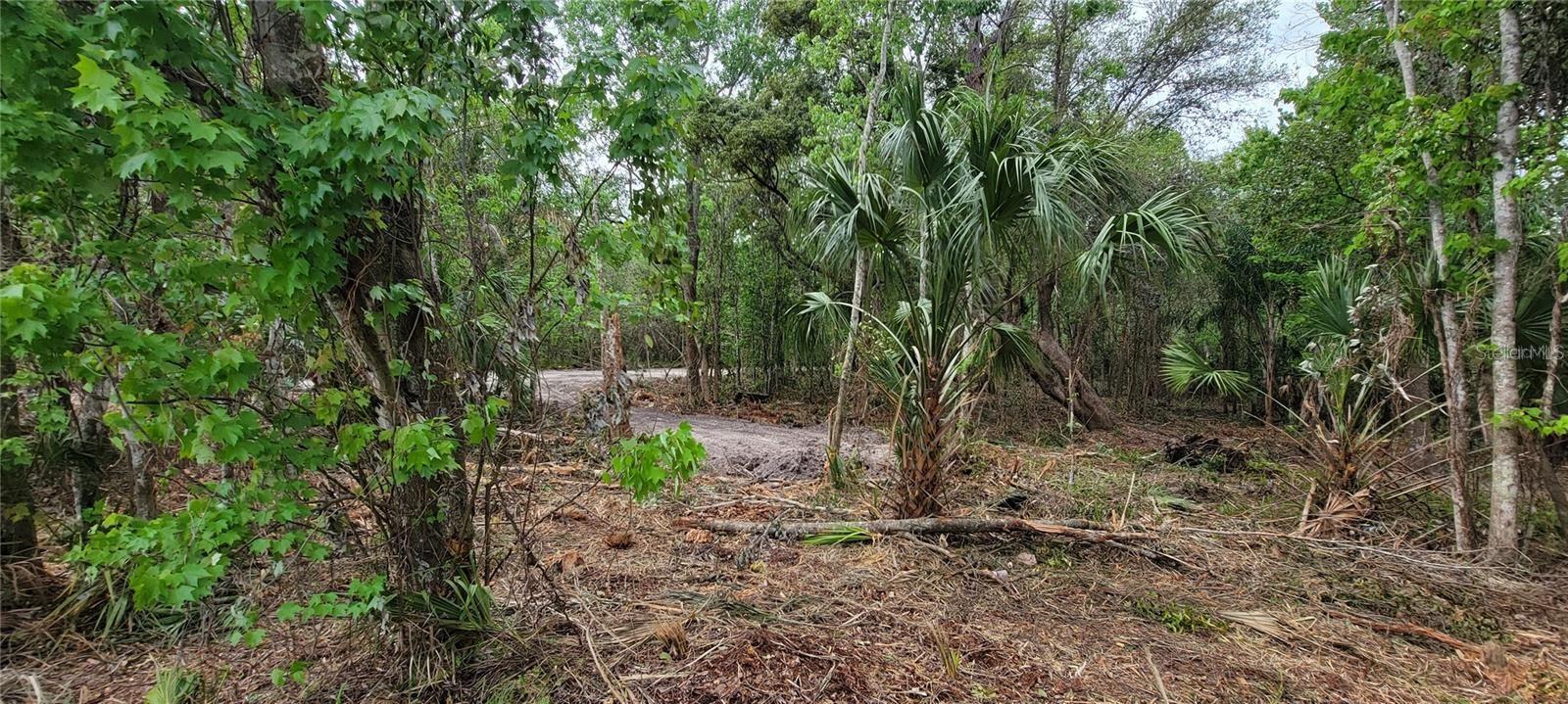 KISSIMMEE VIEW UNIT B - Land