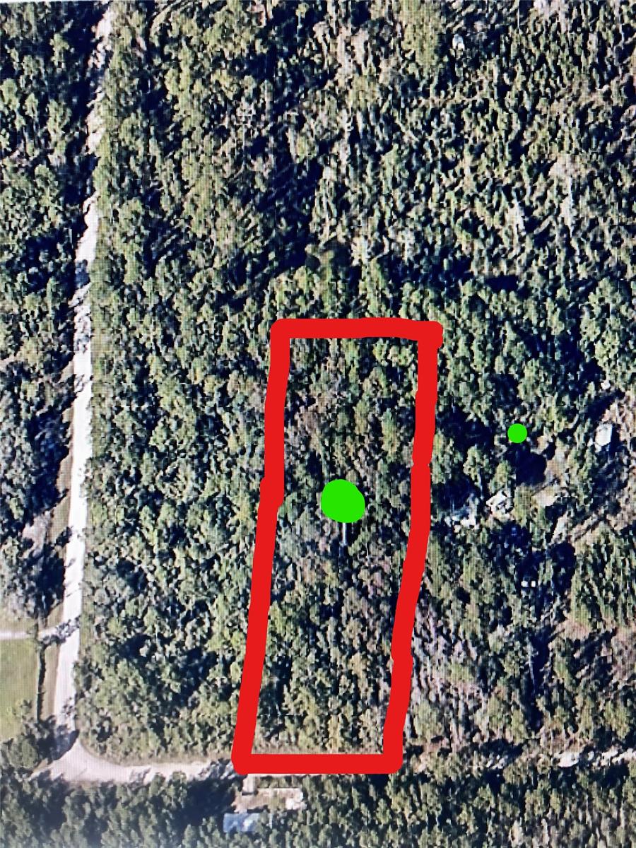 Looking to move to the Country? This beautiful secluded and private 2.5 acre parcel could be yours. Zoned RA (Rural Agriculture) you can build a beautiful single family or manufacture home on the property. Make this your piece of paradise just minutes to the beach and our quaint city of NSB.  Centrally located to shopping banks, airports and the famous NSB Speedway. This big step in building has already done for you - Wetland Determination has been complete Conservation Easement and Environmental Protection Done 8/2018 along with Permit that is good till 9/2023..  All questions concerning this need to be directed to the County of Volusia or the Biological Consulting Service. All information deemed correct, but to be verified by buyers agent and or buyer.; Cleared: No