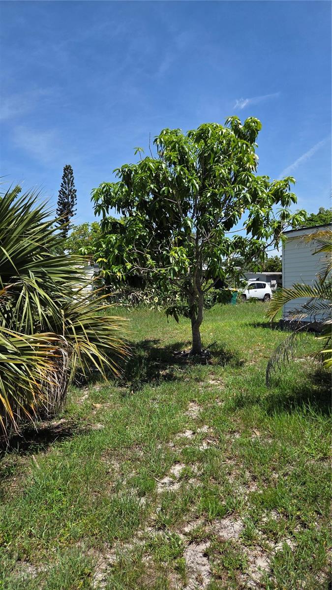 PORT CHARLOTTE SEC 11 - Residential
