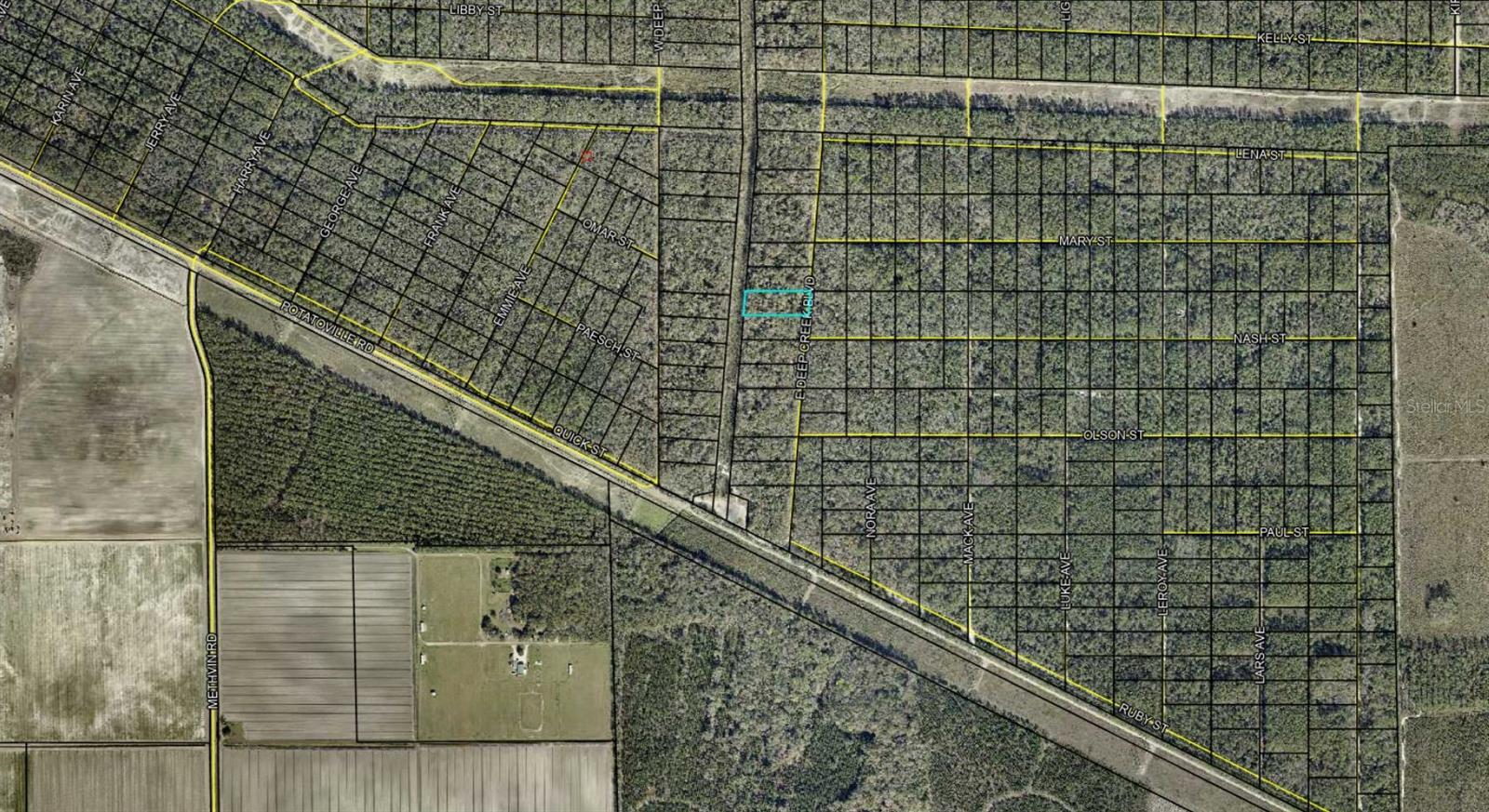 This is an assignment of contract...Escape to the quiet beauty of Old Florida with this wooded vacant lot on E Deep Creek Blvd in the growing Flagler Estates community of Hastings, FL. Tucked among mature trees and natural surroundings, this property offers the perfect blend of privacy, space, and future potential. Whether you're looking to build your dream home, place a manufactured home, create a peaceful weekend retreat, or secure land as a long-term investment, this property provides endless possibilities.

Enjoy the serenity of rural living while remaining conveniently close to St. Augustine, Palm Coast, beaches, shopping, dining, schools, and outdoor recreation. The area continues to see growth and development, making this an excellent opportunity to own a slice of Northeast Florida before values continue to rise. With plenty of room to bring your vision to life and nature all around you, this property is ideal for those seeking freedom, tranquility, and investment potential all in one.