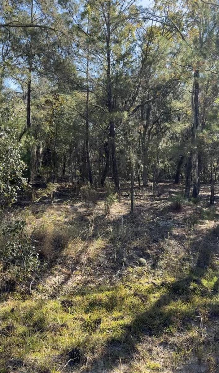 INTERLACHEN LAKES ESTATES - Land