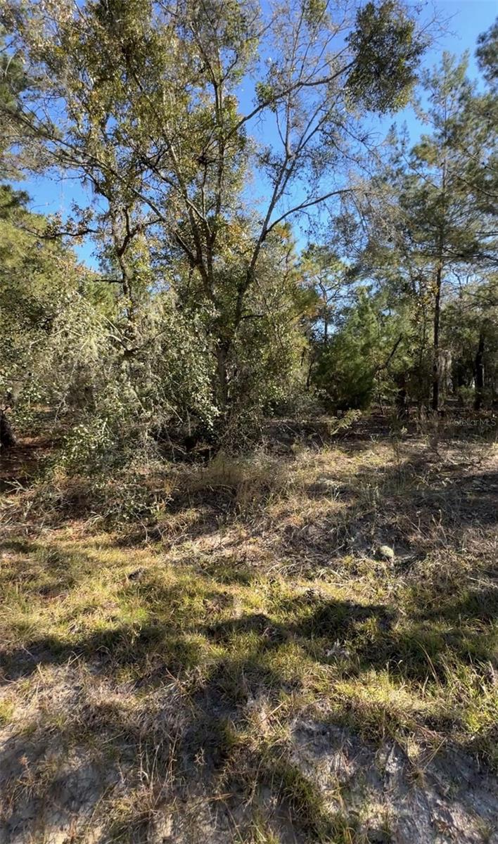 INTERLACHEN LAKES ESTATES - Land