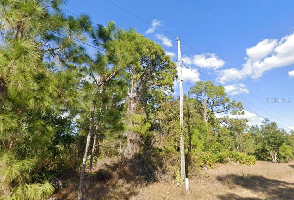 LEHIGH ACRES - Land