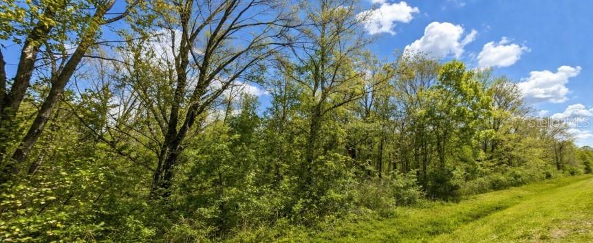 Build Your Dream on 2.28 Acres in Beautiful Flagler Estates! Discover the perfect blend of privacy, freedom, and country living with this exceptional 2.28-acre homesite located in the peaceful community of Flagler Estates. Situated in an X Flood Zone, this property does not require flood insurance, offering added peace of mind and long-term savings. This is TWO side by Side parcel Sold together. Can be developed separately if you wish. NO HOA, or CDD fees, you'll have the freedom to build the home you've always envisioned—whether it's a custom site-built home, manufactured, modular, or mobile home. There's plenty of room for a detached garage, workshop, barn, pool, gardens, and all your outdoor toys. This rural property welcomes horses and other livestock, making it an ideal setting for equestrian enthusiasts, hobby farmers, or anyone seeking extra space to enjoy the outdoors. Bring your RV, boat, trailers, and work vehicles and create the lifestyle you've been dreaming of. Electricity is very close by, making development more convenient, while the property's location just off State Road 13 offers easy access with minimal traffic. Enjoy the tranquility of country living while being only a short drive from historic St. Augustine, where you'll find beautiful beaches, shopping, dining, entertainment, and endless recreational opportunities.
Whether you're ready to build now or invest for the future, this oversized homesite offers incredible value and endless possibilities. Opportunities like this don't come along often— start planning your Florida dream now!