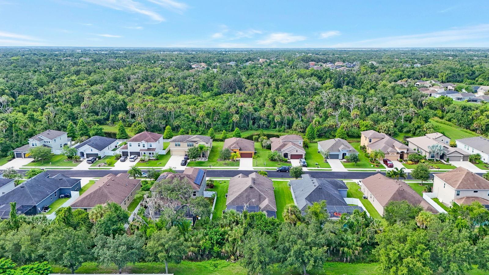 OLD MILL PRESERVE PH II - Residential