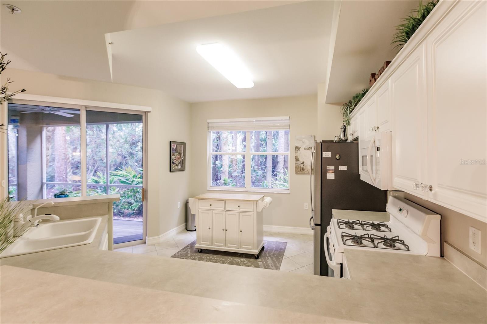 WINDWARD BAY AT TARPON BAY - Residential