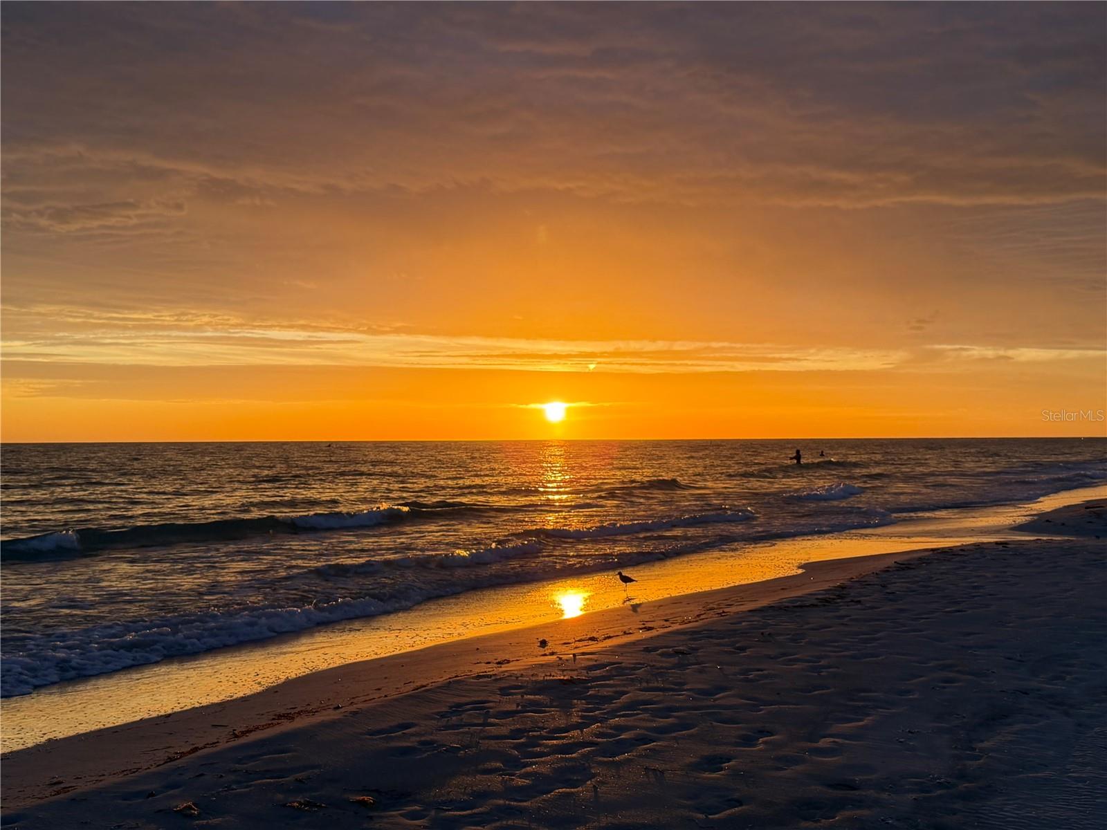 AVALON OF CLEARWATER THE CONDO - Residential Lease