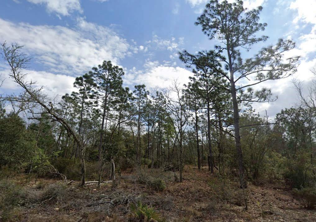 MARINERS LAKE HILLS - Land