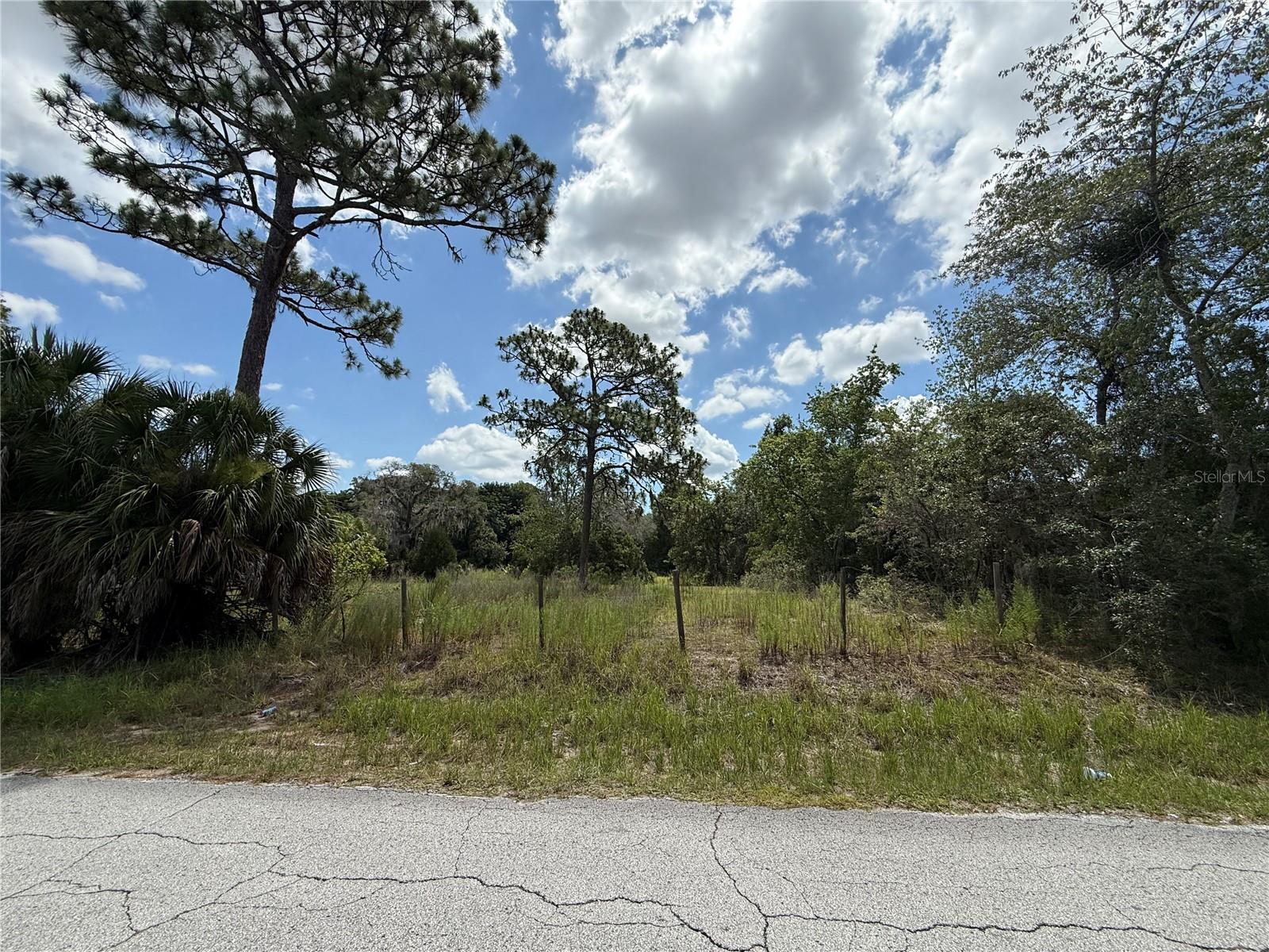 Great opportunity to own 1.25 acres on Galveston St in Spring Hill. This open parcel is fenced with field fencing and includes a gate, providing a defined boundary for the property. With open land ready for your vision, this is the perfect place to start fresh and bring your dream home or future plans to life. Conveniently located approximately 15–20 minutes from the Suncoast Parkway, providing easy access to Tampa and surrounding areas. Enjoy the balance of quiet, rural-style living while still being close to shopping, dining, and everyday conveniences. Whether you are looking to build now or invest for the future, this property offers excellent potential.