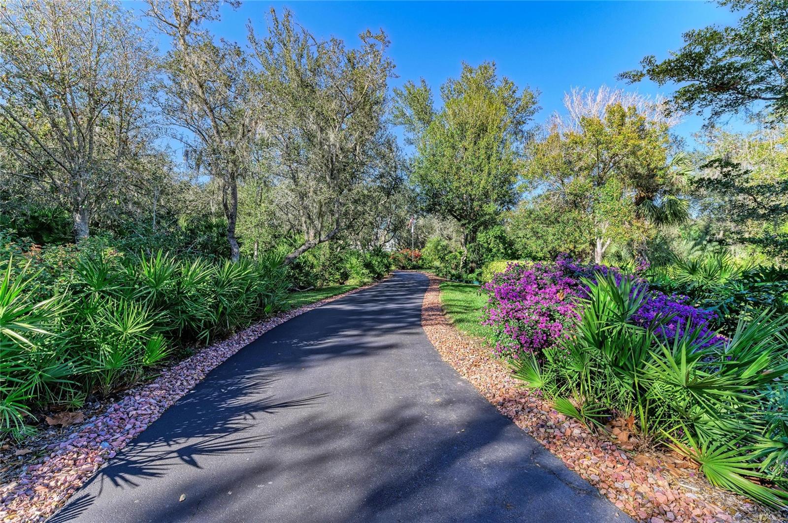 WASHINGTON LOOP - Residential