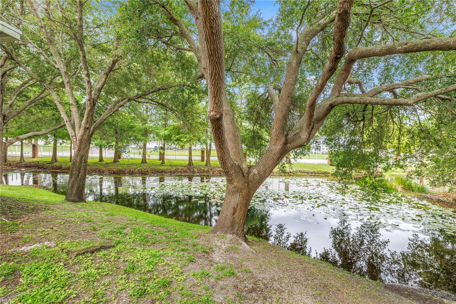 ESTANCIA PLACE TWNHMS - Residential