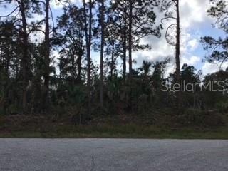 Buildable lot in up and coming North Port. North Port is a growing community with the Tampa Bay Rays Stadium minutes away in Port Charlotte or the Atlanta Braves training Stadium right here in North Port. You will be close to shopping, hospital, North Port ER, schools and parks. This lot could be the perfect place for your dream home.