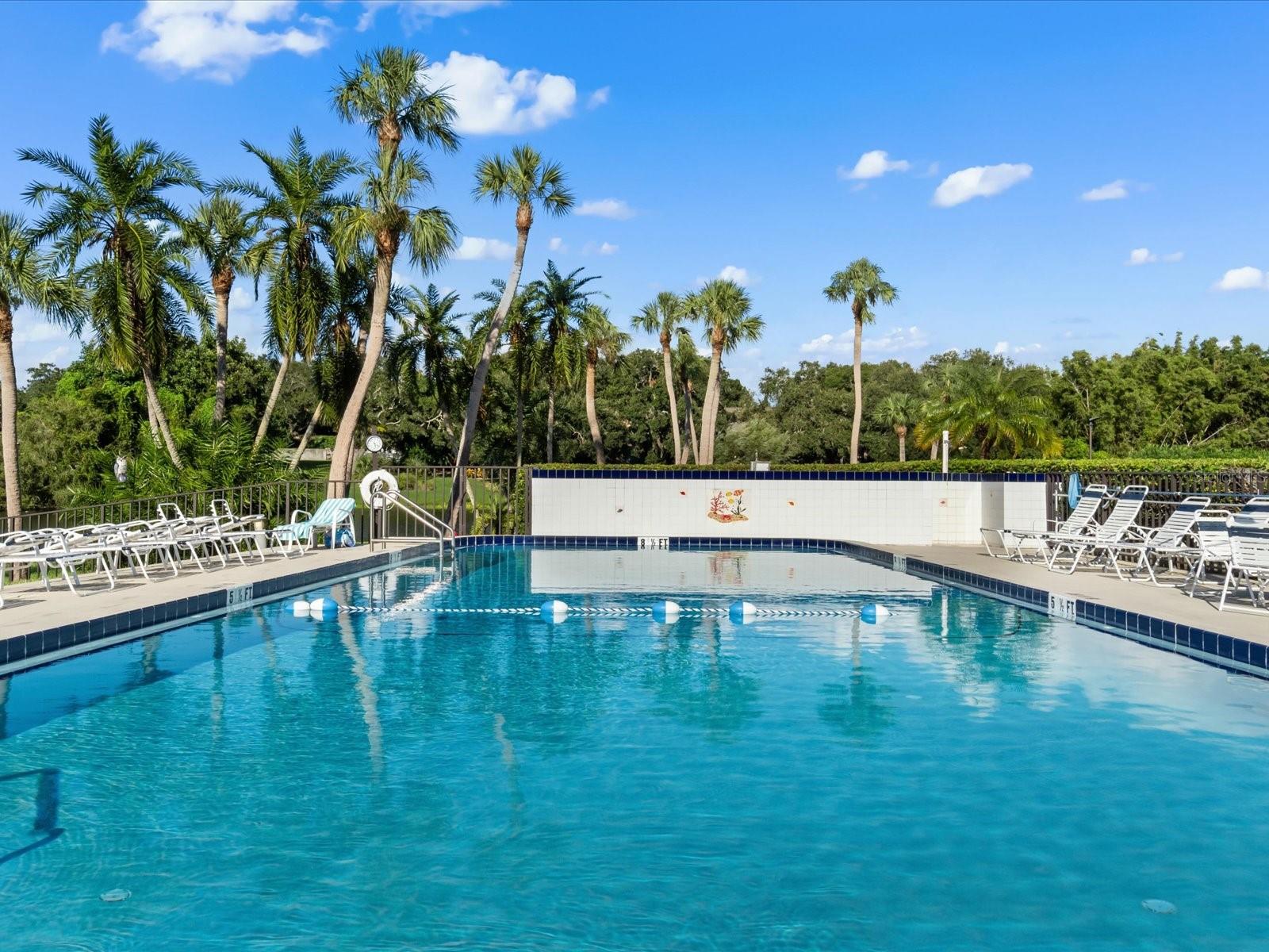 BELLEVIEW BILTMORE VILLAS BAYSHORE - Residential