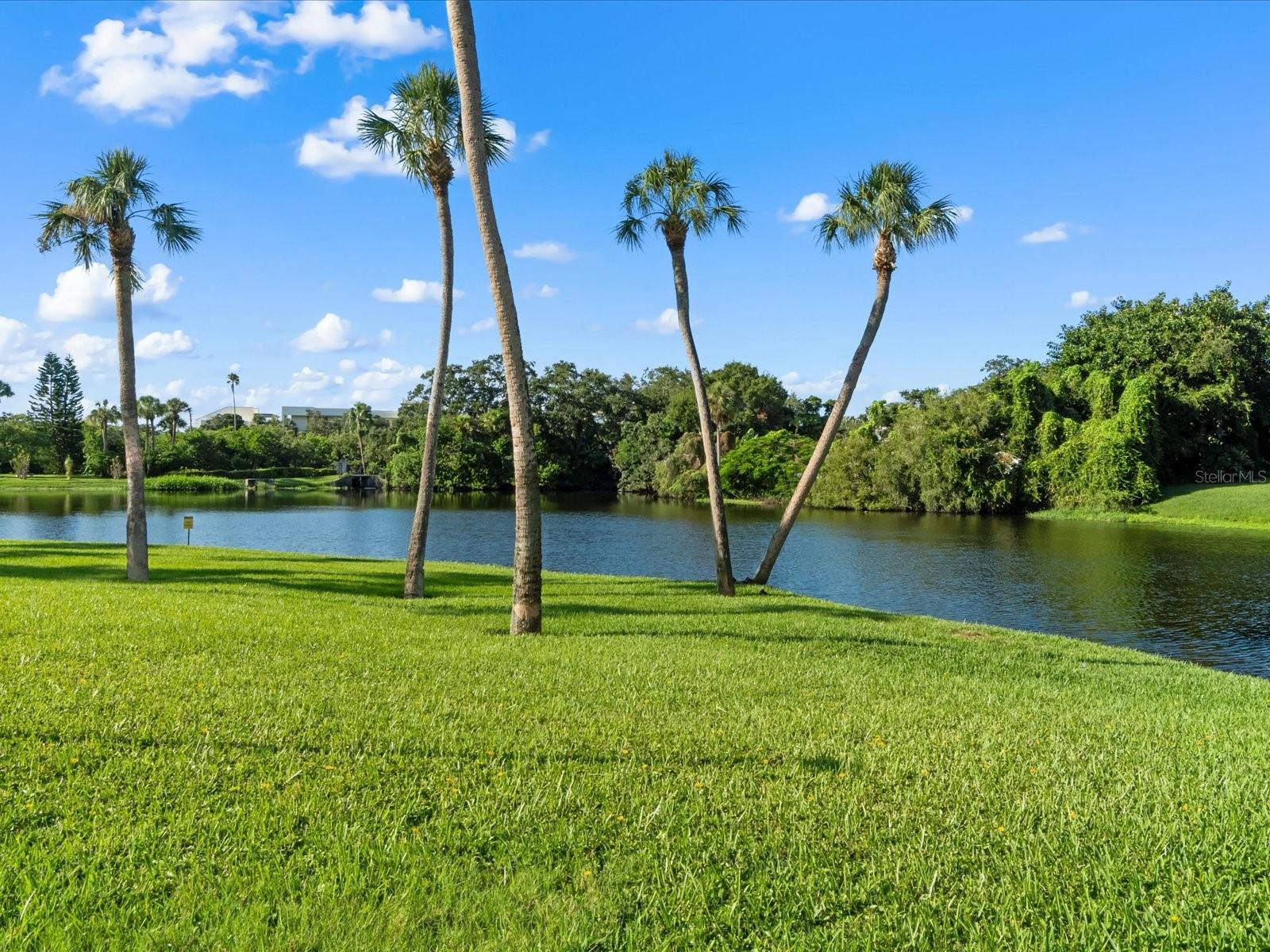 BELLEVIEW BILTMORE VILLAS BAYSHORE - Residential