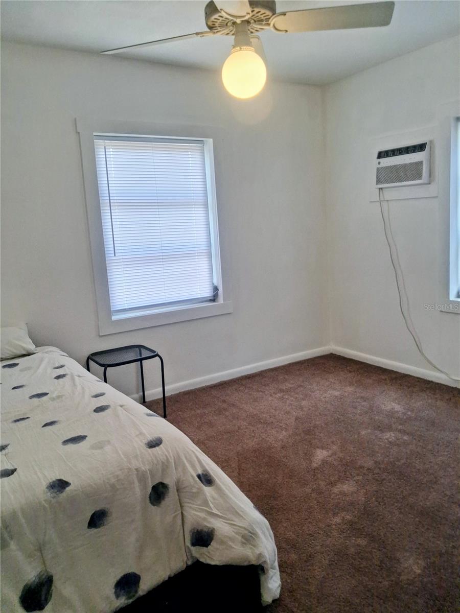 BIG SCRUB - Residential