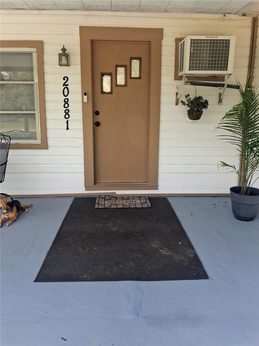 BIG SCRUB - Residential