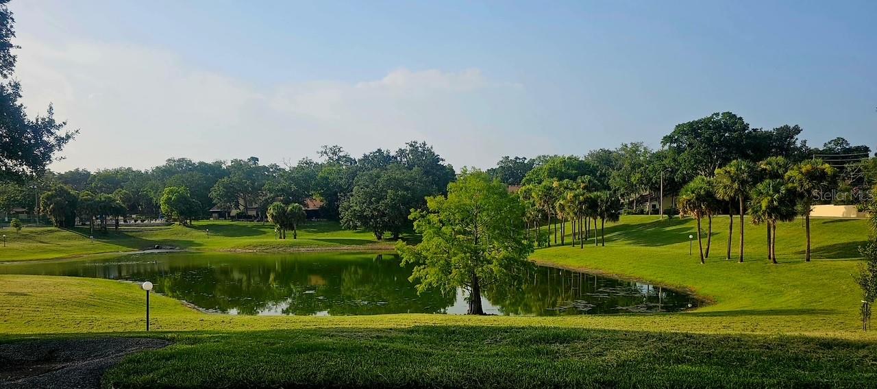 CRANES ROOST VILLAS - Residential