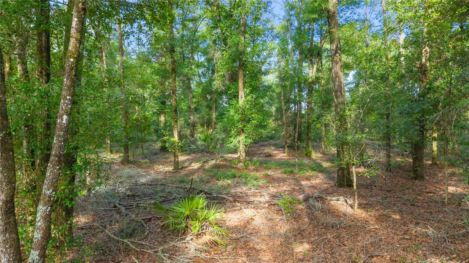 NOT IN SUBDIVISION - Residential