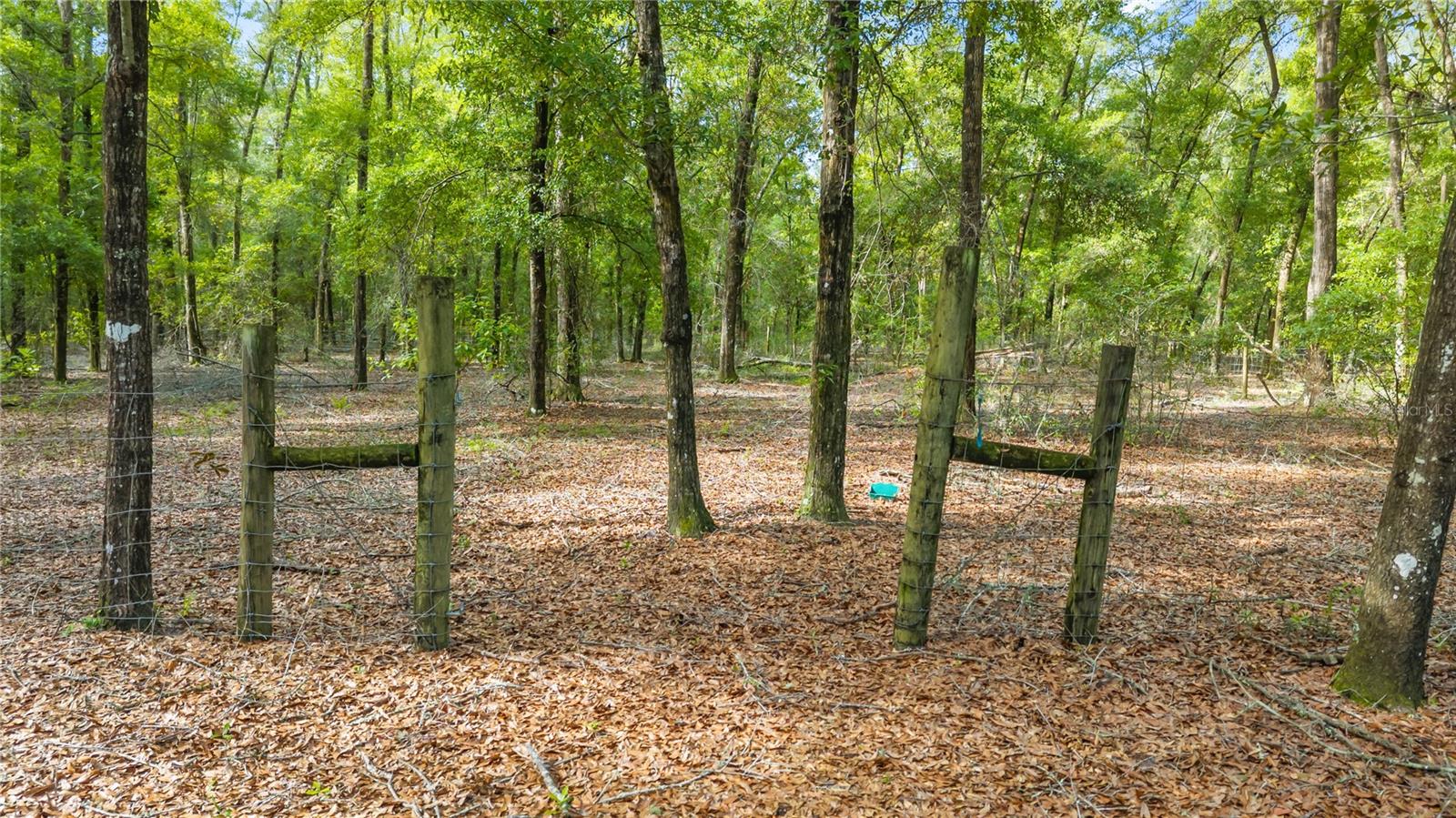 NOT IN SUBDIVISION - Residential