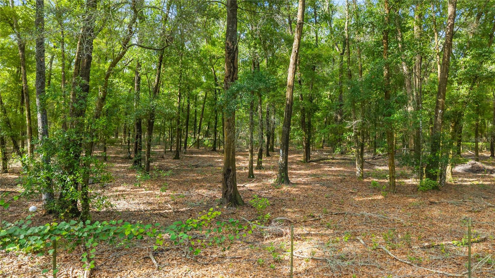 NOT IN SUBDIVISION - Residential