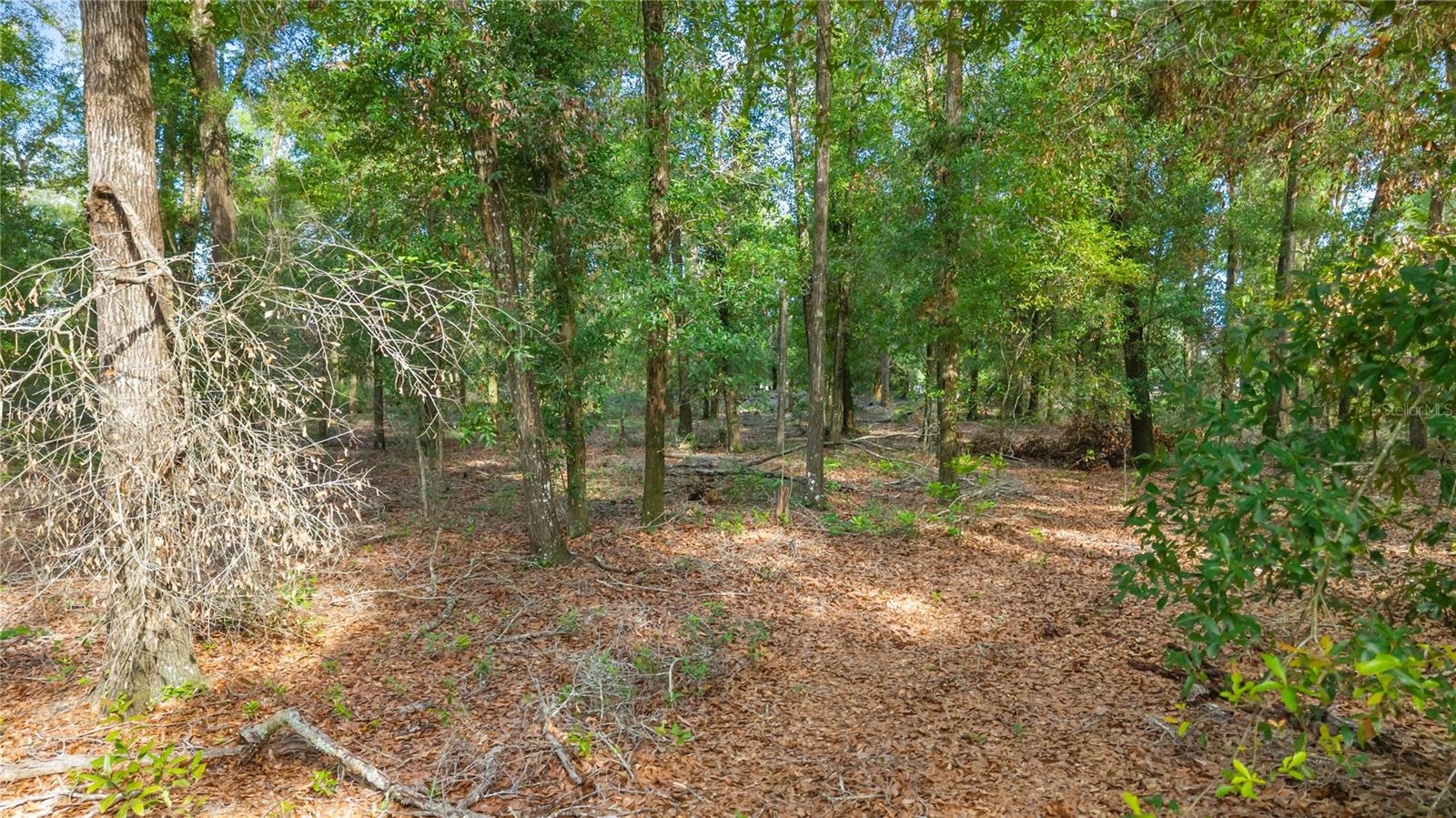 NOT IN SUBDIVISION - Residential