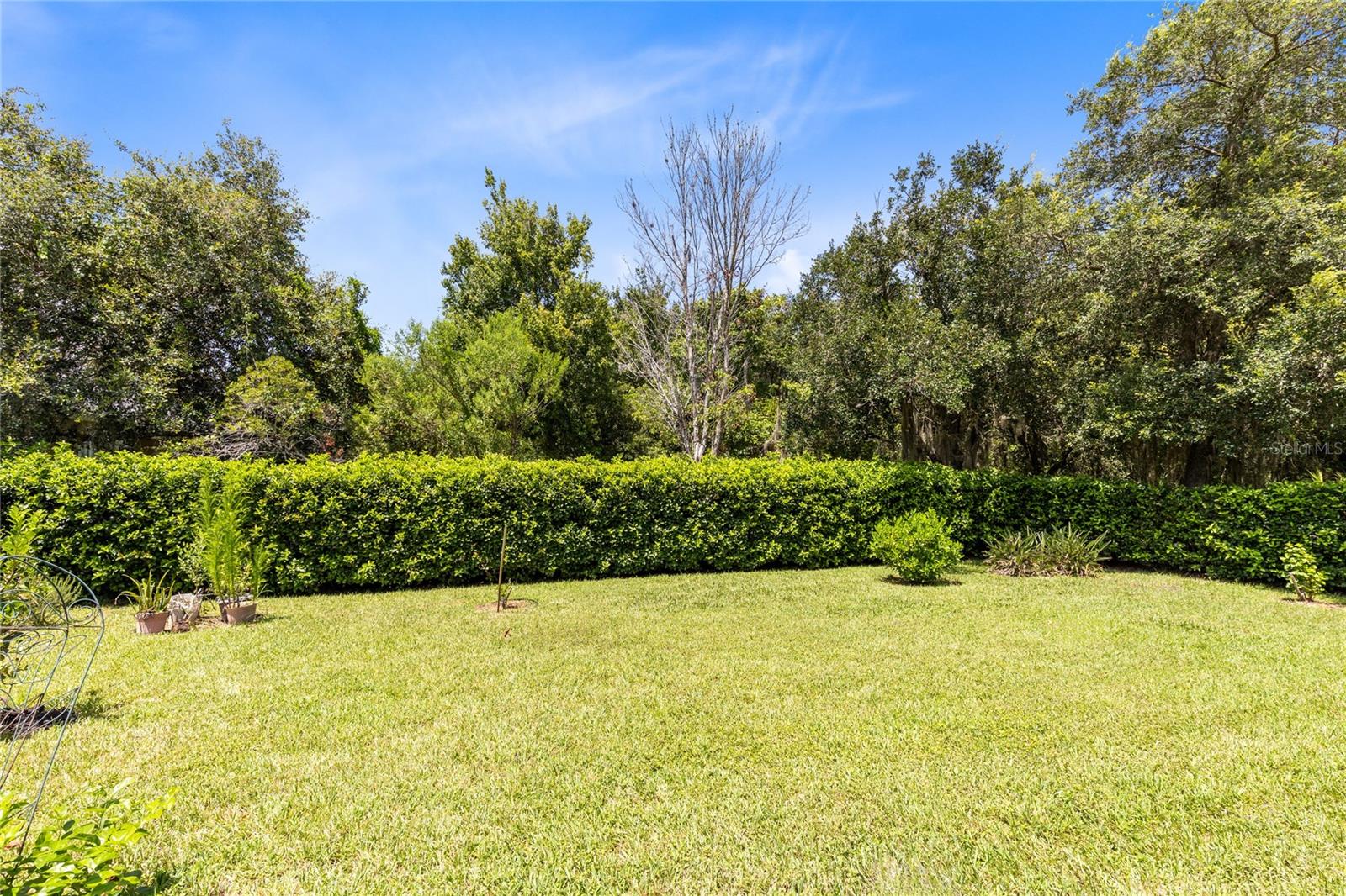 TIMBER ISLE - Residential