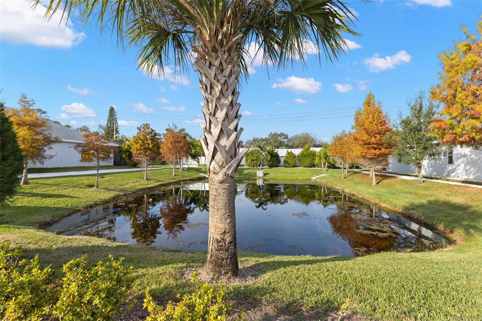 DUNEDIN COVE - Residential