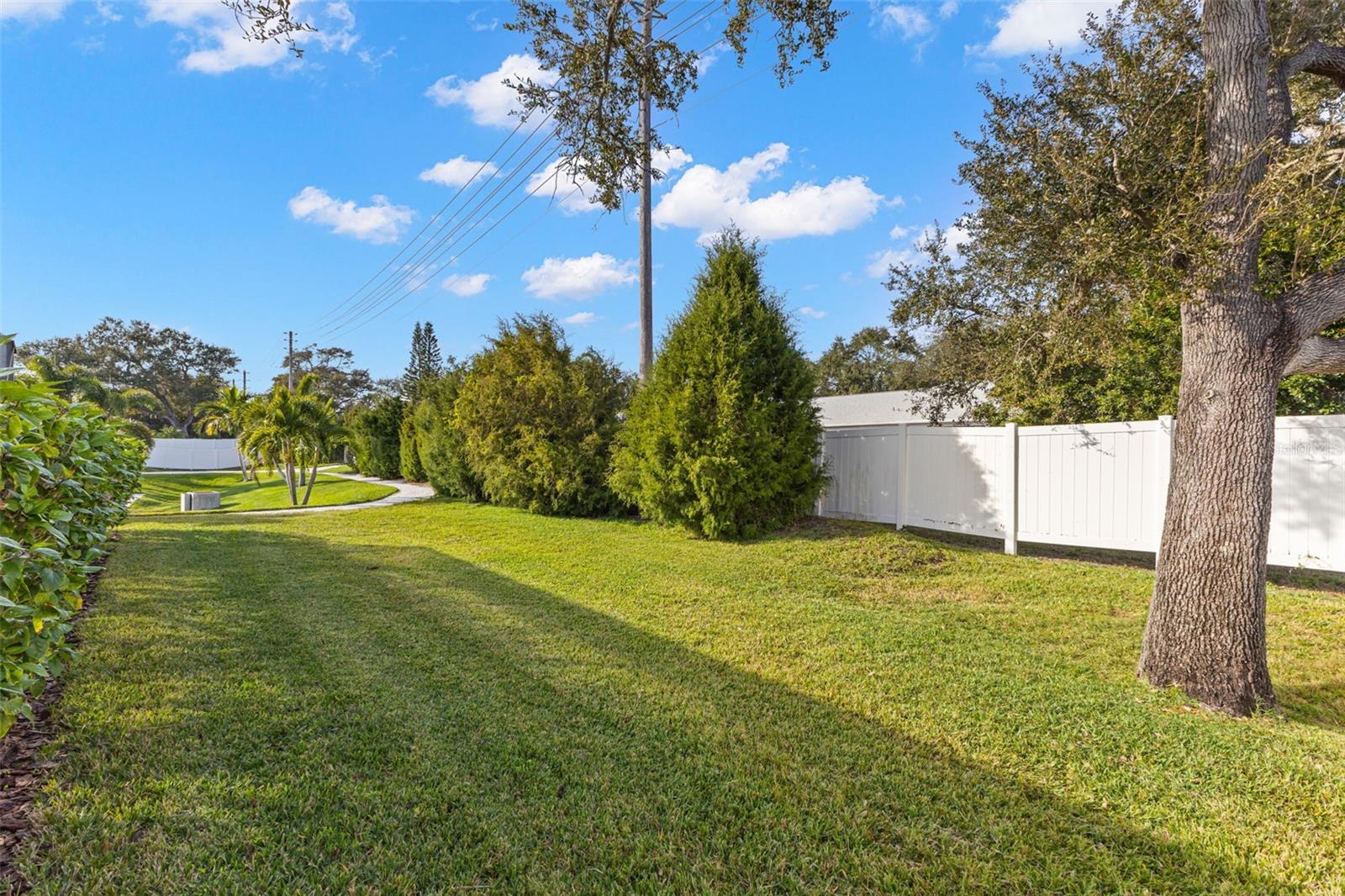 DUNEDIN COVE - Residential