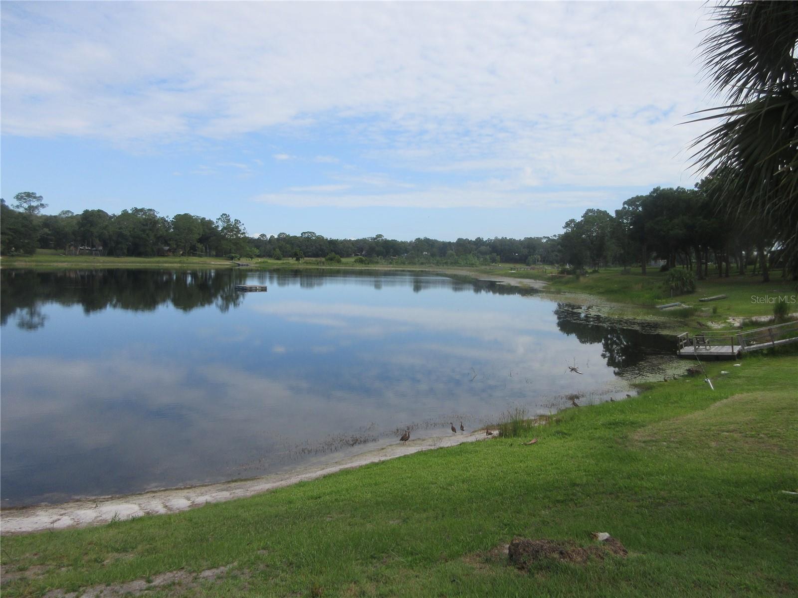 WOODS & LAKES - Residential