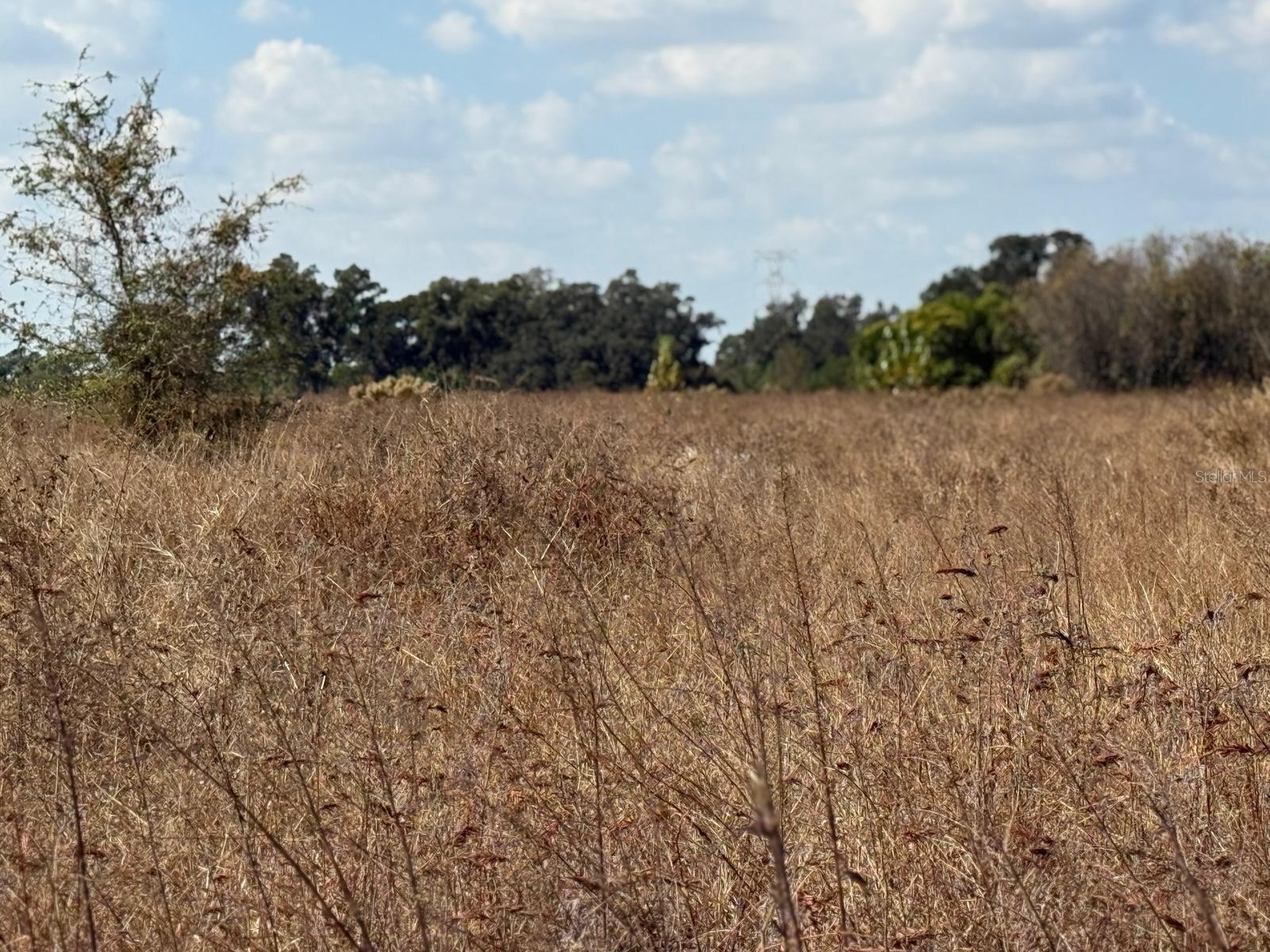 UNPLATTED - Land