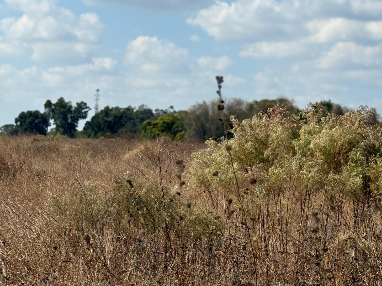 UNPLATTED - Land