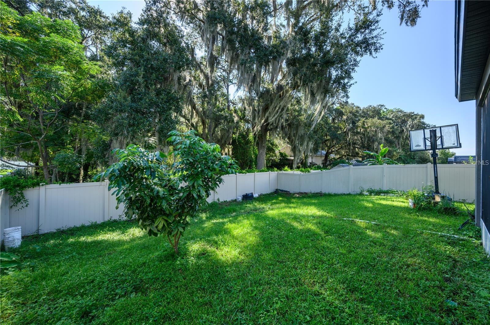 EAST LAKE PRESERVE PH 2 - Residential
