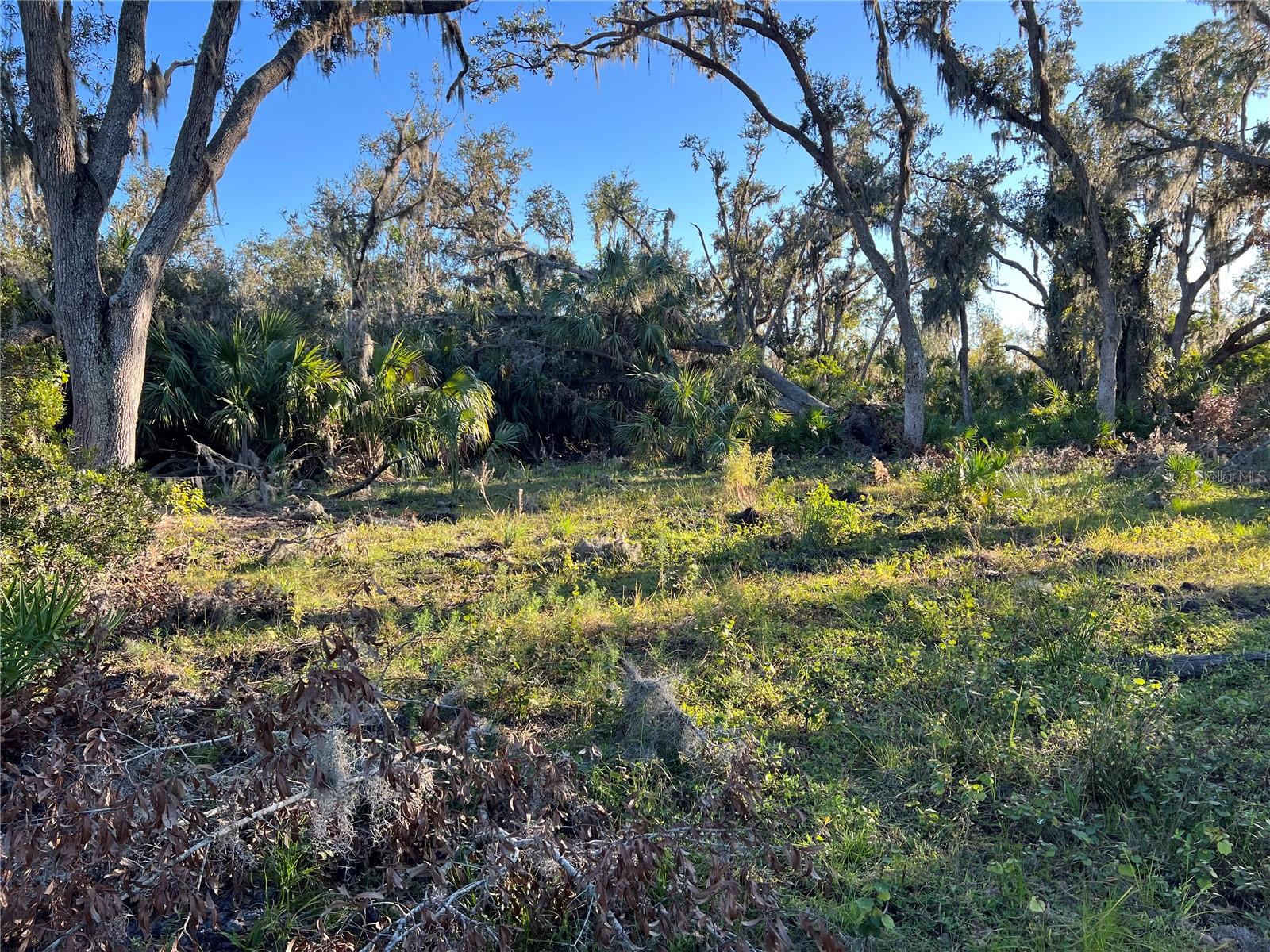 ACREAGE - Land
