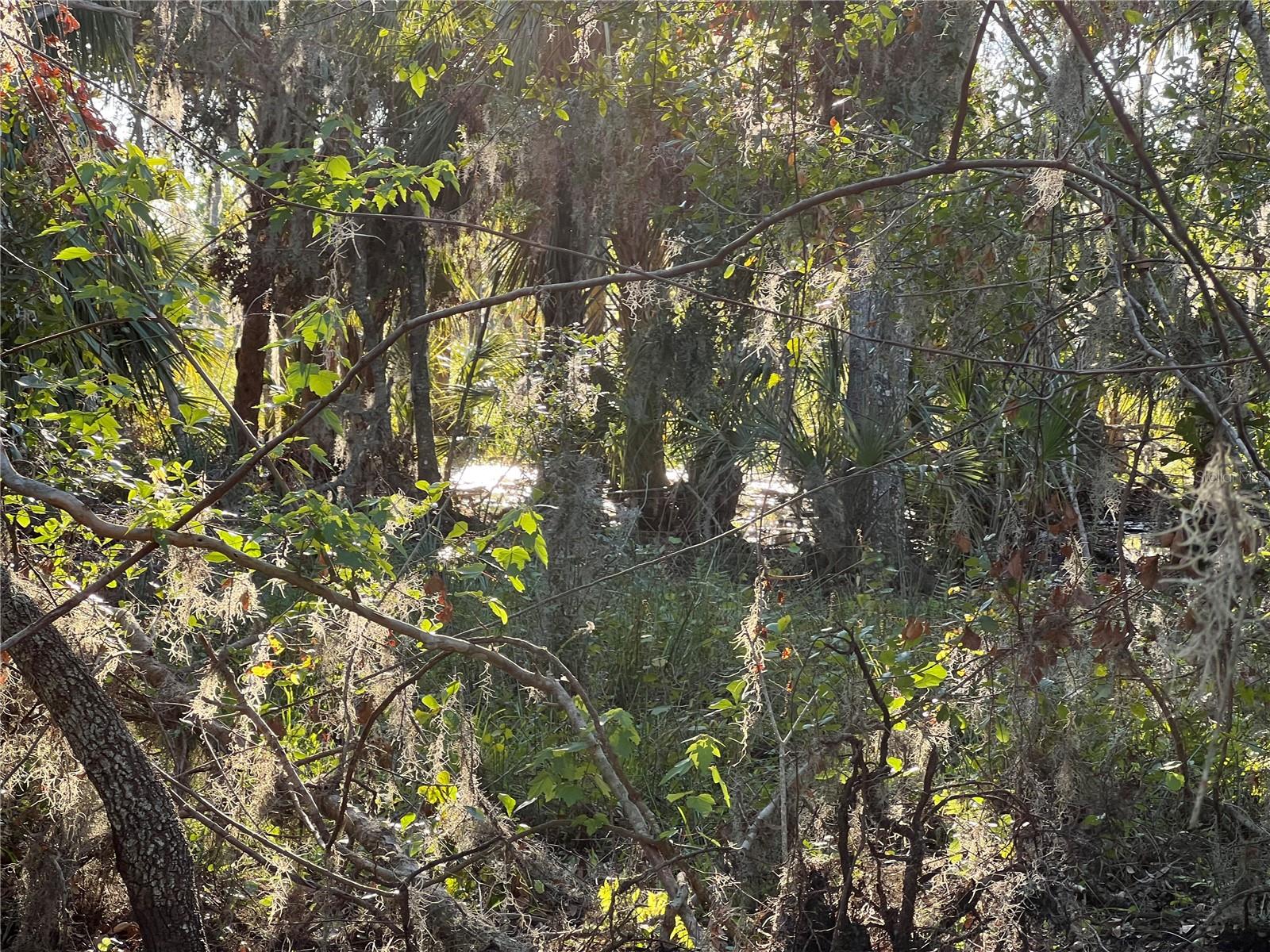 ACREAGE - Land