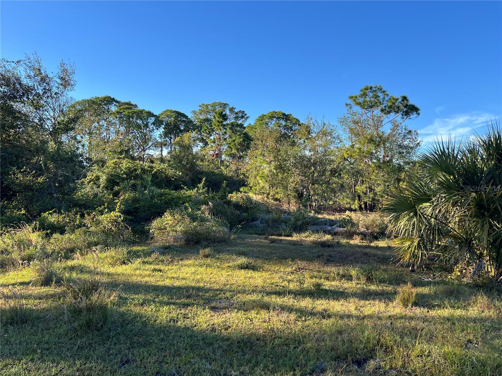 ACREAGE - Land