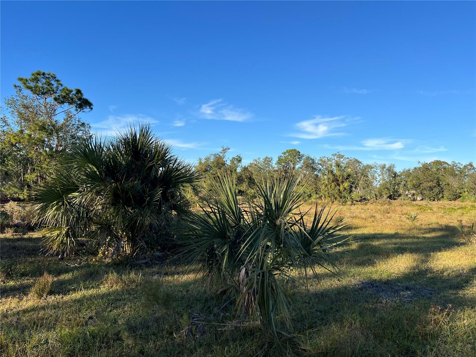 ACREAGE - Land